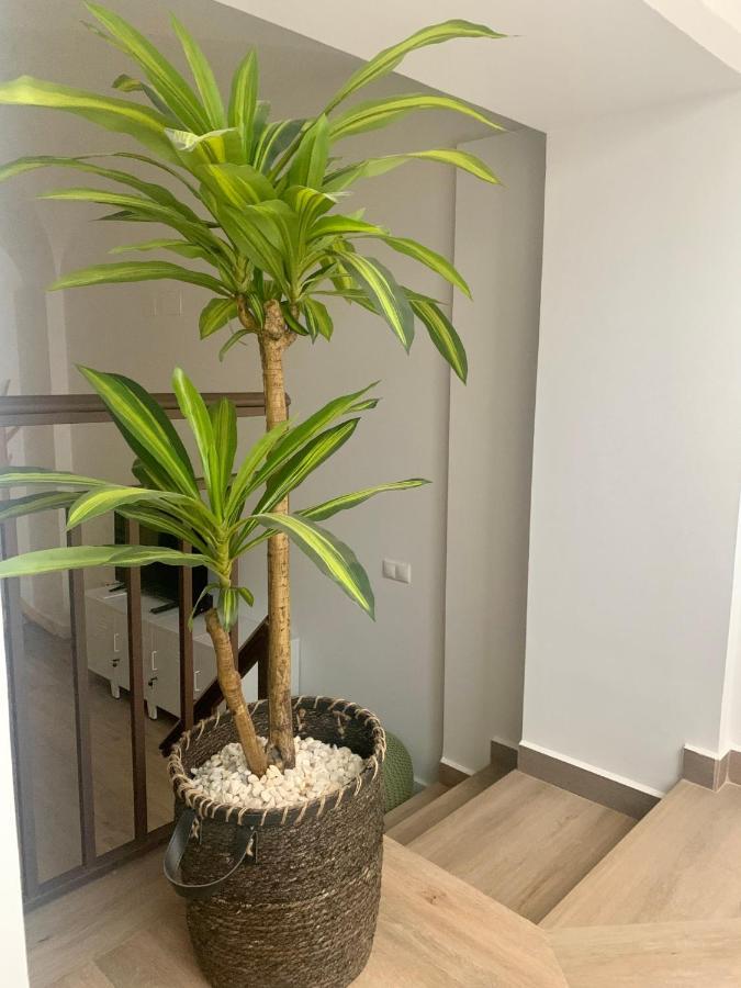 Puerta De Caceres Apartamento 2 Luaran gambar